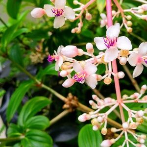 Meet your Posher, Molly